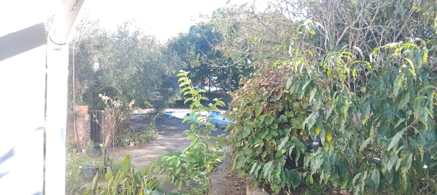 3 Bedroom Property for Sale in King Williams Town Central Eastern Cape